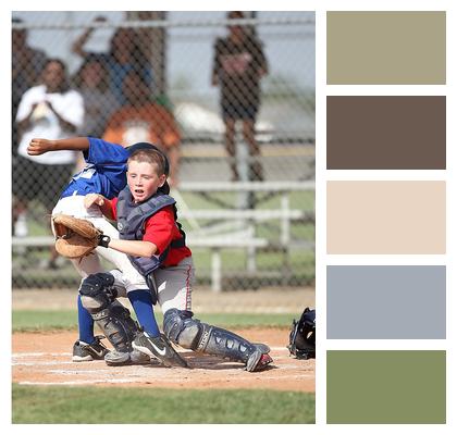 Ball Little League Baseball Image